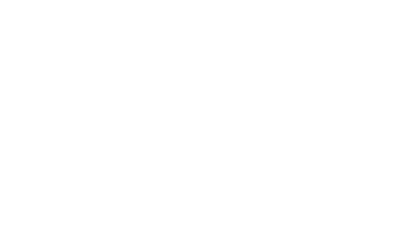 Accelis Consulting